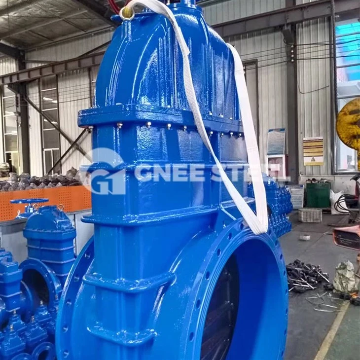 Bellow sealed valves