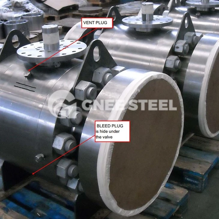 double block & bleed valves
