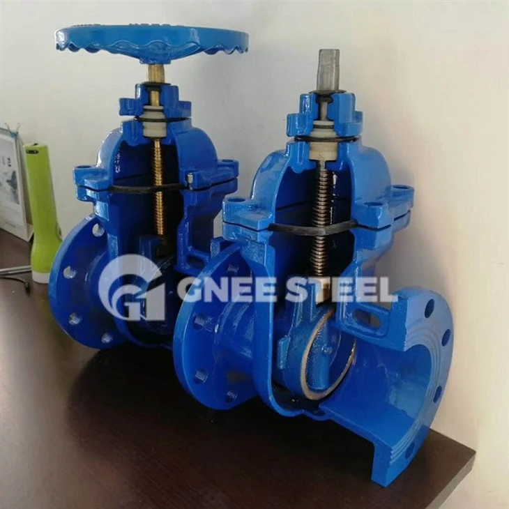 Large Gate Valves