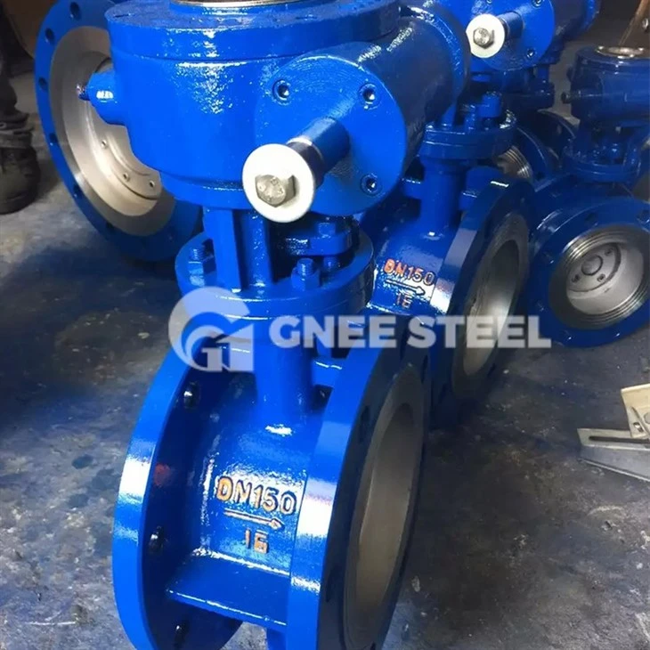 Concentric Butterfly Valve